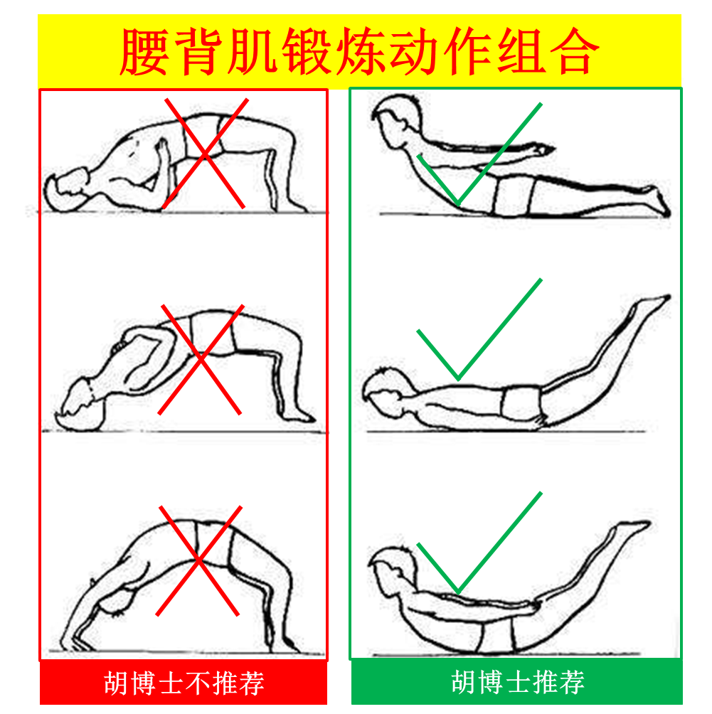 博士講堂:腰背肌鍛煉,你做對了嗎?(圖2)